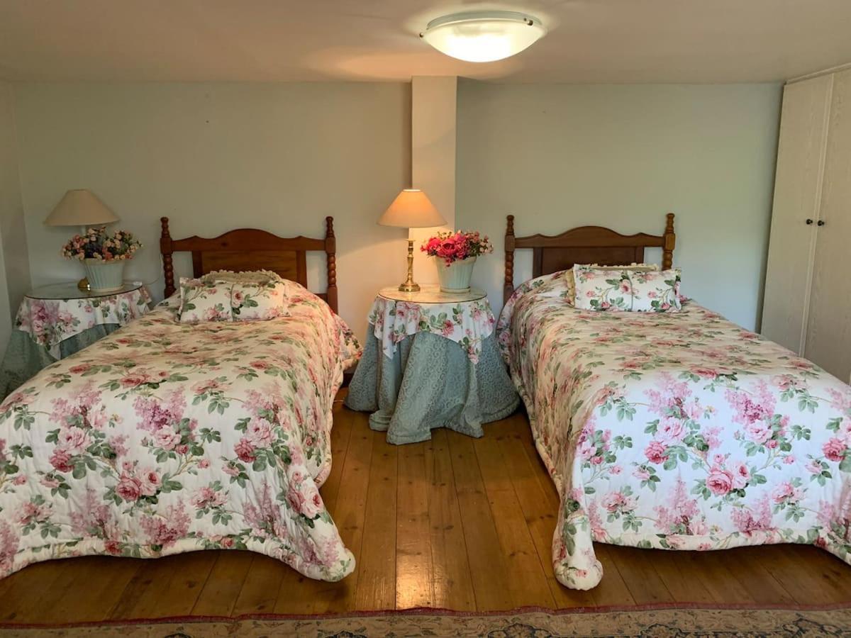 Mountain Rose Guesthouse Louis Trichardt Buitenkant foto