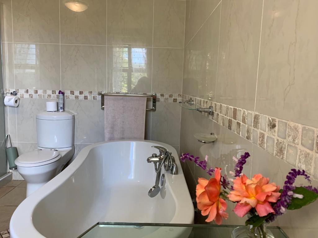 Mountain Rose Guesthouse Louis Trichardt Buitenkant foto